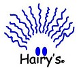 Hairy's Salon